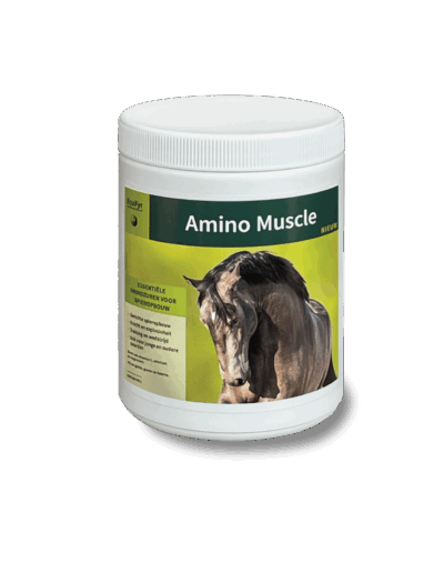 Weiße Dose mit Amino Muscle Nahrungsergänzung für Pferde, zeigt Pferdekopf auf gelbem Etikett
